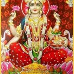 12662013_209983742684150_875890025597270606_n