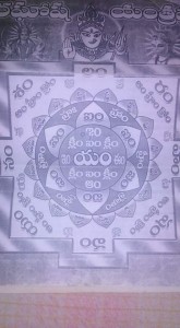 1935370_208775339461447_6124196714321766767_n