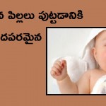 newborn-happy2-300×188