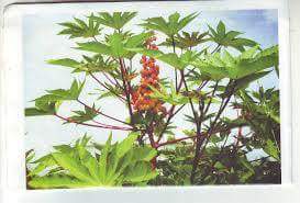 received_1016091351816886