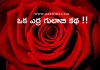 ఒక ఎర్ర గులాబి కథ !! | Story of Red Rose in Telugu