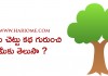 ఉత్తమ చెట్టు కథ గురుంచి మీకు తెలుసా ? | Tale of Best Tree Story in Telugu