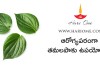 ఆరోగ్యపరంగా తమలపాకు ఉపయోగాలు | Health Benefits of Betel Leef in Telugu