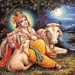 10584061_10208480281795681_7323116977128139144_n