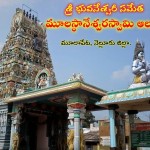 12512290_989163717818451_5518357392024696762_n