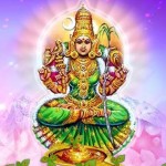 12573905_1558593187792539_6228329955327648942_n