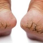 12661763_1703132253302397_1991742021013974686_n