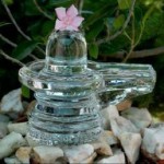 12742849_10207812192198695_2751765834947142536_n