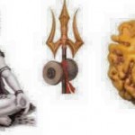 12744365_549240021919790_8586589109138576114_n