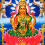 12790850_1153836434640762_2370943621956709902_n