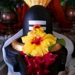 12806241_239139196425061_8881993615485408474_n