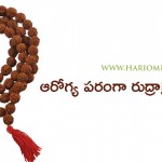 health-benefits-of-rudraksha