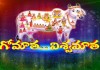 గోమాత గొప్పదనం – Gomatha Significance In Telugu