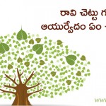 what-does-ayurveda-says-about-peepal-tree