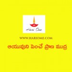 ఆయువుని పెంచే ప్రాణ ముద్ర