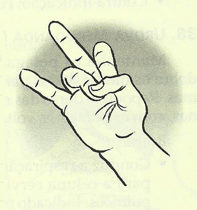 10-rudra-mudra
