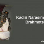 12063712_10207726056781430_164457209951778401_n