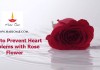 How to prevent Heart problems with Rose Flower?