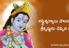 అష్టైశ్వర్యాలు పొందడానికి శ్రీకృష్ణుడు చెప్పిన మార్గం ? Krishna’s words