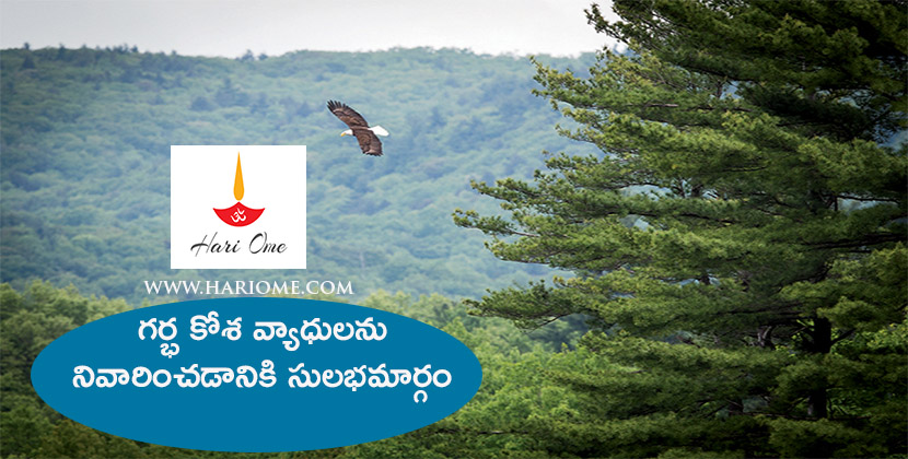 గర్భ కోశ వ్యాధులను నివారించడానికి సులభమార్గం