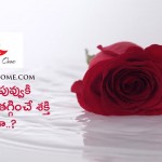గుండె జబ్బులను నివారించాలంటే ఏ ముద్ర వేయాలి.