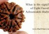 What is the Significance of Eight Faced or Ashtamukhi Rudraksha?
