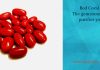 Red Coral – The gemstone that purifies you