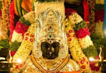 Polala Amavasya 2025 | పొలాల అమావాస్య ఈ నియమాలు పాటిస్తే జీవితంలో కష్టాలు తొలగిపోతాయి.