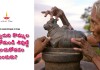 నందీశ్వరుని కొమ్ముల మధ్యలోనుండి శివుణ్ణి దర్శించుకోవడం ఎందుకు? | Why do you see Lord Shiva from the center of the horns of Nandeeshwar in Telugu?