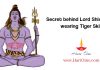 Secret behind Lord Shiva seen wearing Tiger Skin