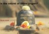 What is the secret of Shiva Lingam?