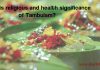 What is religious and health significance of Tambulam?
