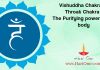 Vishuddha Chakra or Throat Chakra – The Purifying power in our body