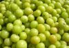What is the health benefits in Amla Berry? amla berry