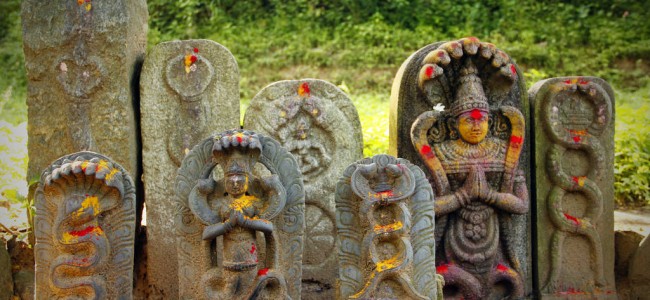 010814-ci-nag-panchami-naag-panchami-festivals-of-snakes-1-650x300