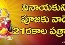 వినాయక చవితి పూజలో వాడే 21 పుజా పత్రాలు & విశిష్ఠత | Vinayaka Chavithi 21 Patri Names in Telugu Vinayaka Chavithi 21 Patri Names in Telugu