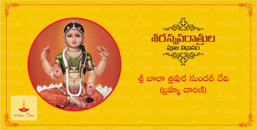 hariome_dasara_banner_02