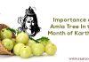 Importance of Amla Tree In the Month of Karthika