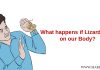 What Happens if Lizard Falls on Our Body Parts?