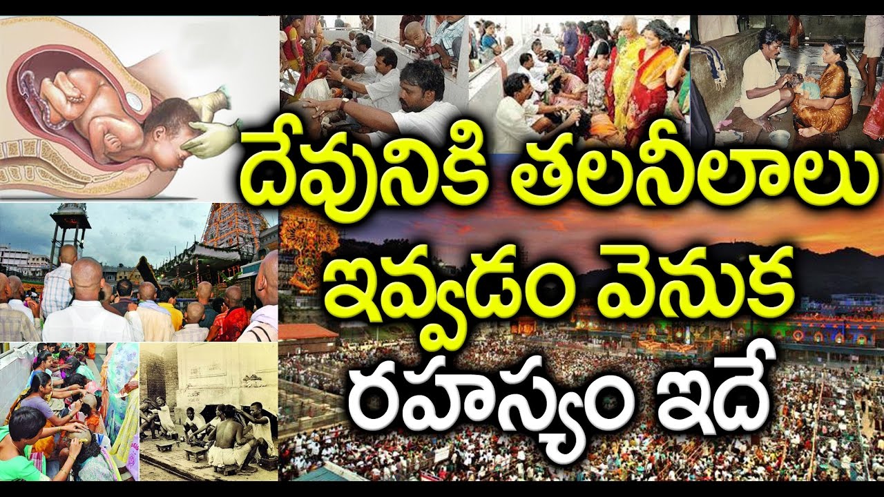 దేవునికి తలనీలాలు ఇవ్వడంలో ఆంతర్యం ఏమిటి.! | Significance of Giving Hair to God in Telugu