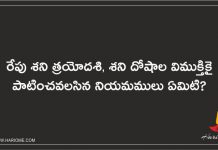 Shani Trayodashi | శని త్రయోదశి ప్రాముఖ్యత, శని దోషాల విముక్తికై పాటించవలసిన నియమములు