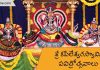 శ్రీ కపిలేశ్వరస్వామి పవిత్రోత్సవాలు | Sri Kapileswara Swamy Pavithrotsavam in Telugu