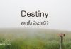 Destiny అంటే ఏమిటి?