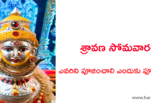 Sravana Somavaram Pooja in Telugu | శ్రావణ సోమవారం – ఎవరిని పూజించాలి ఎందుకు పూజించాలి?