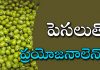 పెసలు తీసుకొంటే… | Pesalu (Mung) Benefits in Telugu