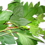 gongura-pickle-500g-500×500