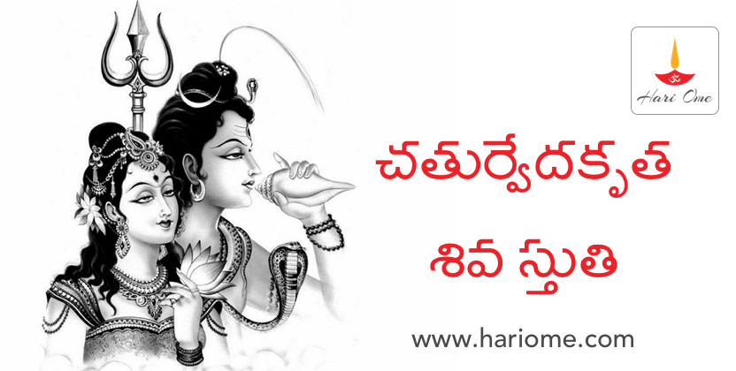 చతుర్వేదకృత శివ స్తుతి
