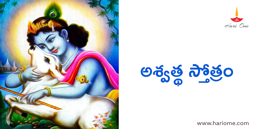 Ashvattha Stotram Lyrics in Telugu