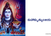 Maha Mrityunjaya Stotram | మహా మృత్యుంజయ స్తోత్రం