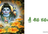 శ్రీ శివ కవచం – Sri Siva Kavacham